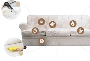 Carpets - main.photo 14