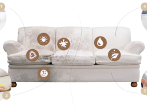 Home - main.photo 26