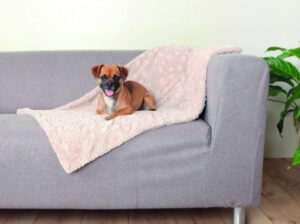 Home - main.photo 23