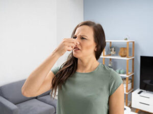 Home - main.photo 27