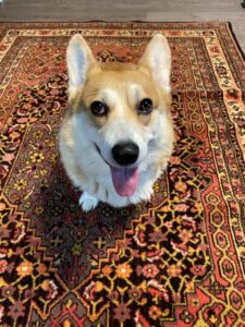 Carpets - main.photo 11