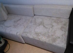 Home - main.photo 22